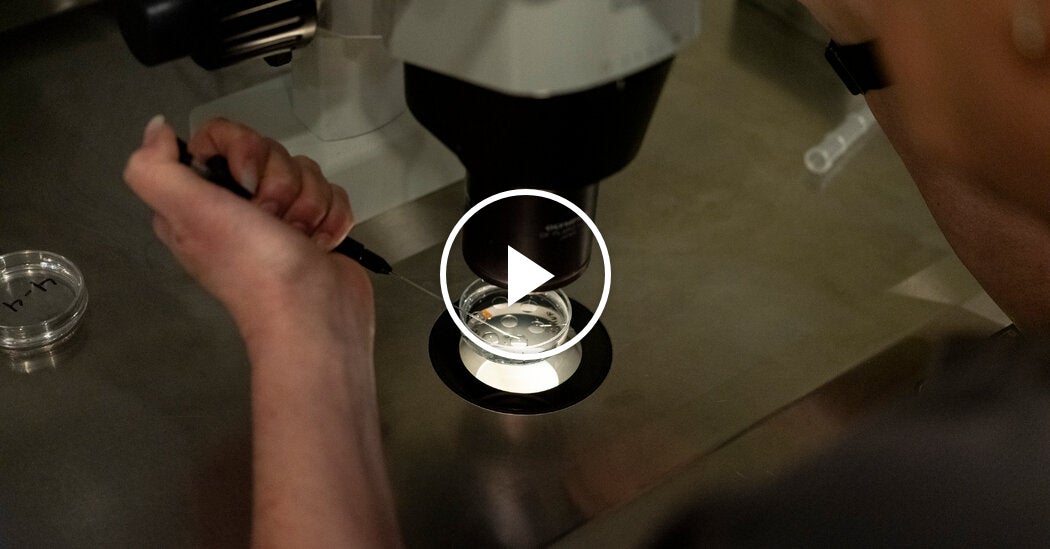 Trump Unveils Plans to Reduce the Cost of I.V.F. – Mirror Brief